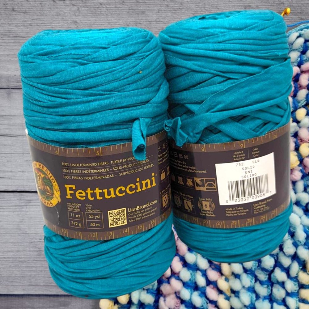 Lion Brand Fettuccini Yarn Bundle of 2 , 30.8oz Lot #64